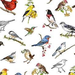 QT Fabrics Drawn To Birds 31135-Z Tossed Birds White | SOLD BY THE HALF-YARD